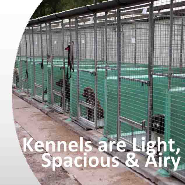 kennels are light,spaclous & Airy